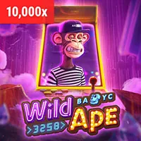 Hoàn trả hàng tuần DG5566